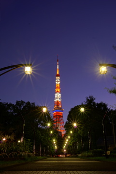Tokyo Tower(Summer version)
