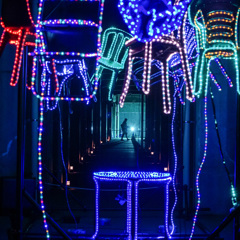 Smart Illumination Yokohama 2017