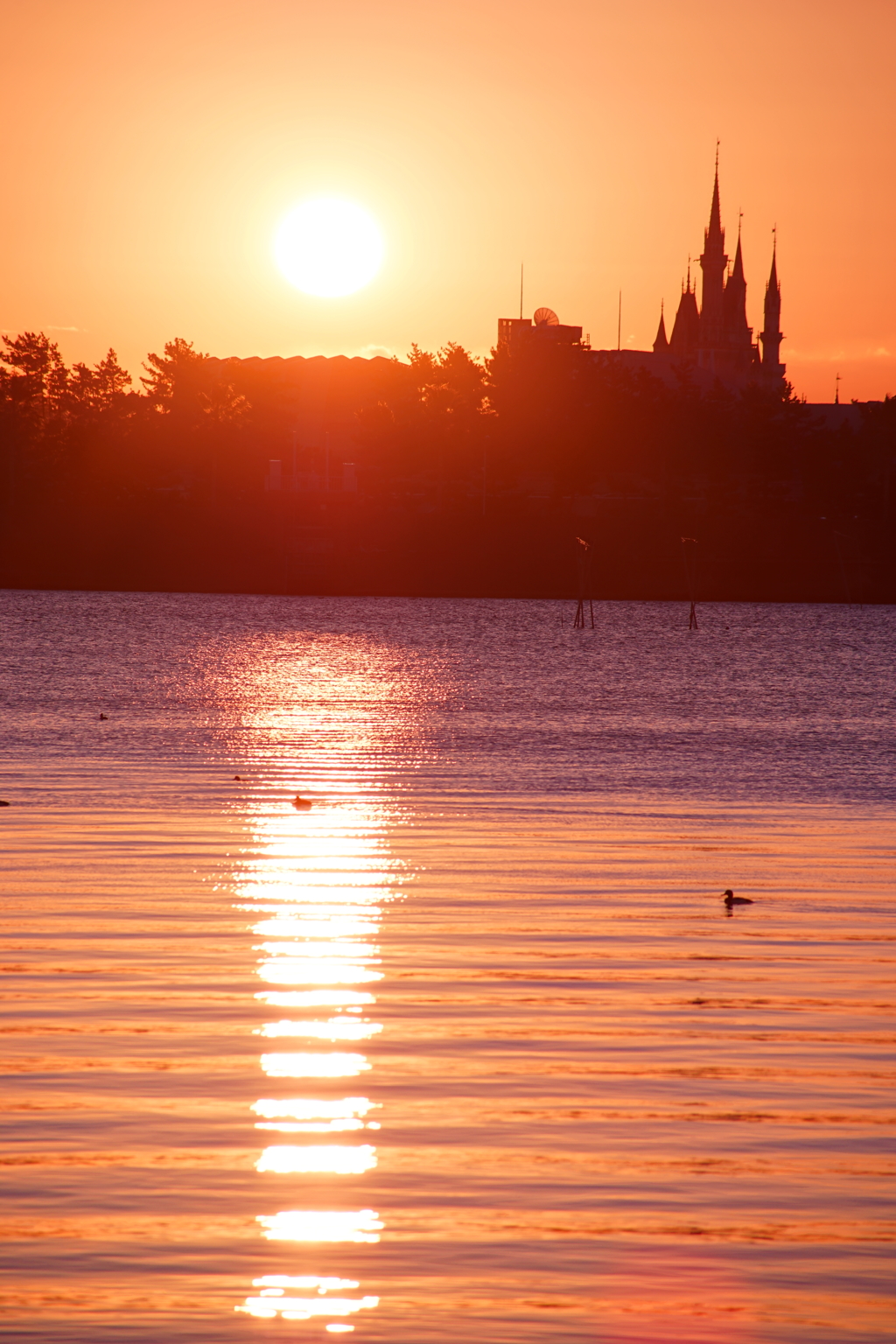 あけましておめでとうございます