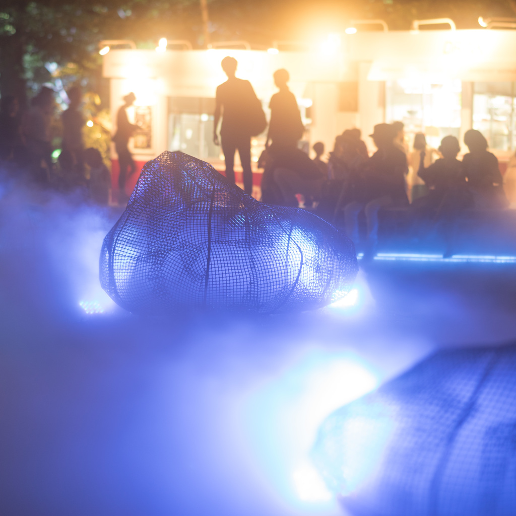 光と霧のデジタルアート庭園