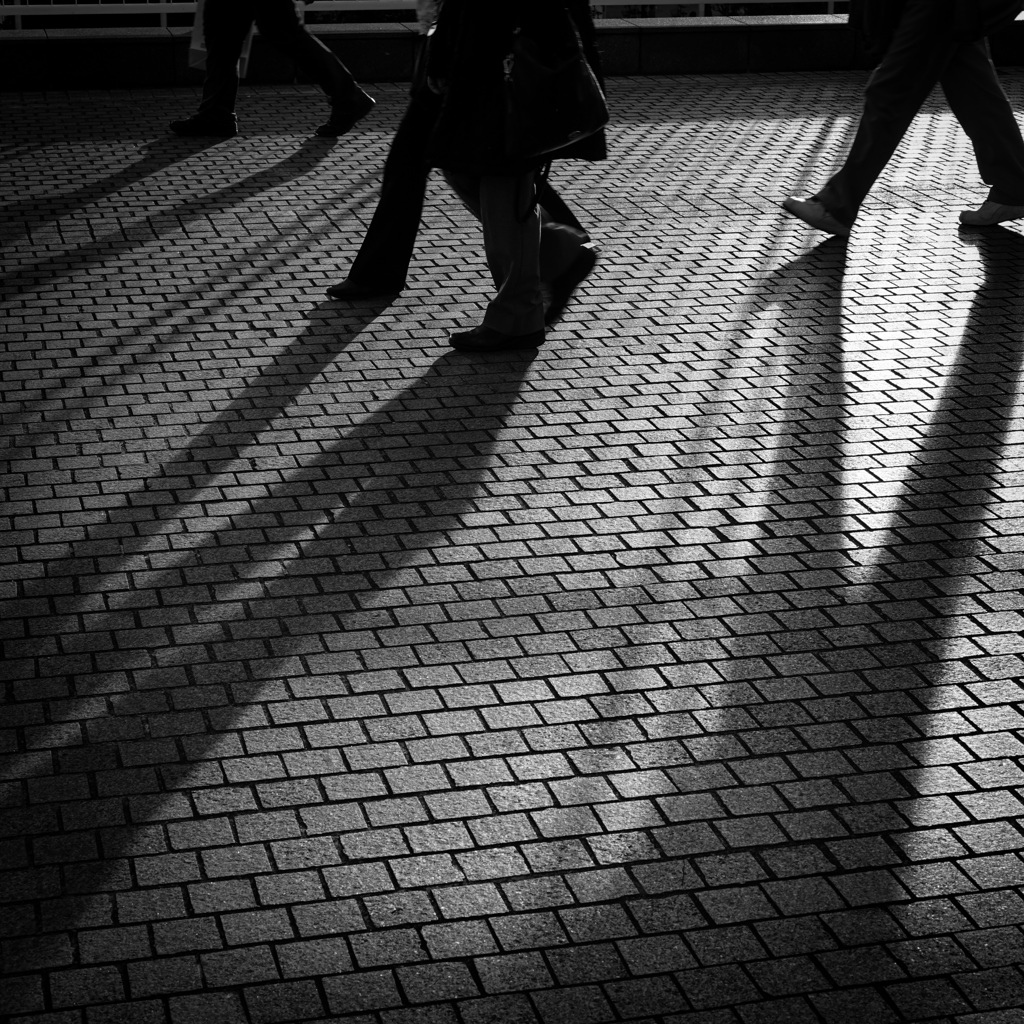 Shadows of the walking