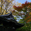 深秋　～三渓園～２
