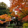 三渓園 ～聴秋閣～