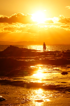 夕陽の中の親子