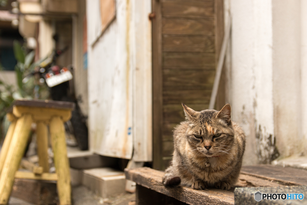 路地裏