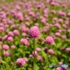 DSC_0575_17866