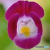 DSC_0569_17860