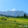 DSC_0410_17701