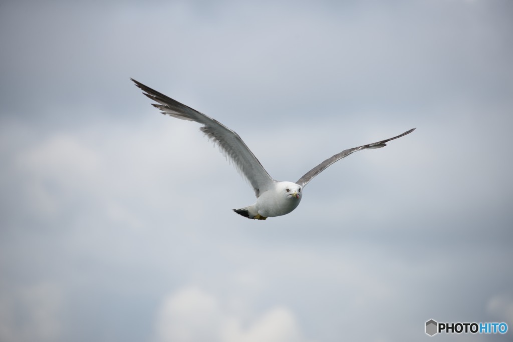 DSC_0107_17398