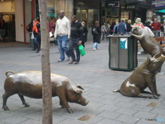 街中の豚さん