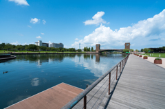 夏の環水公園