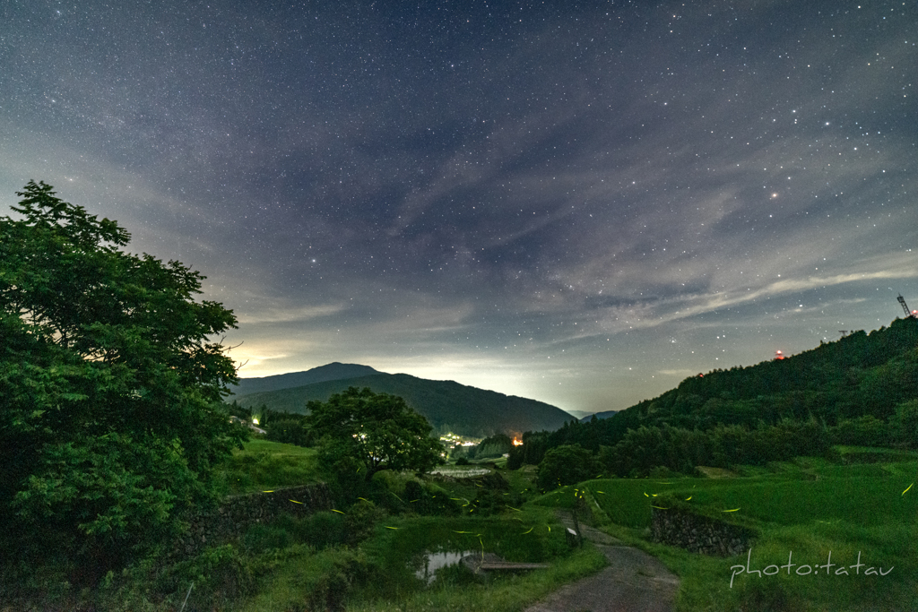 里山　夏の夜