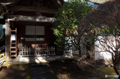 古いお寺の境内