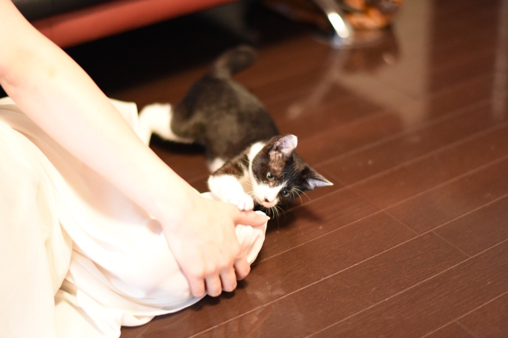 困り顔も、