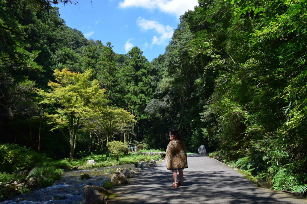 秋芳洞への道