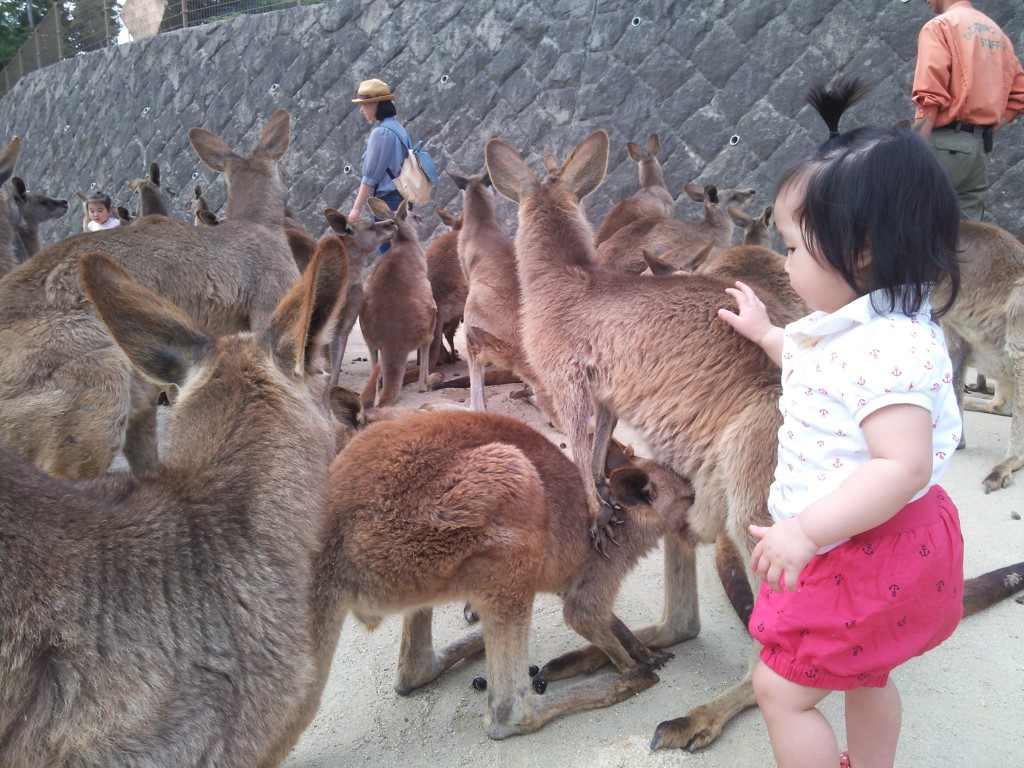 ちょっと君たち多すぎない？？