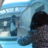 水越の姉妹