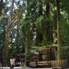 高千穂神社その4夫婦杉