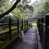 高千穂峡への道