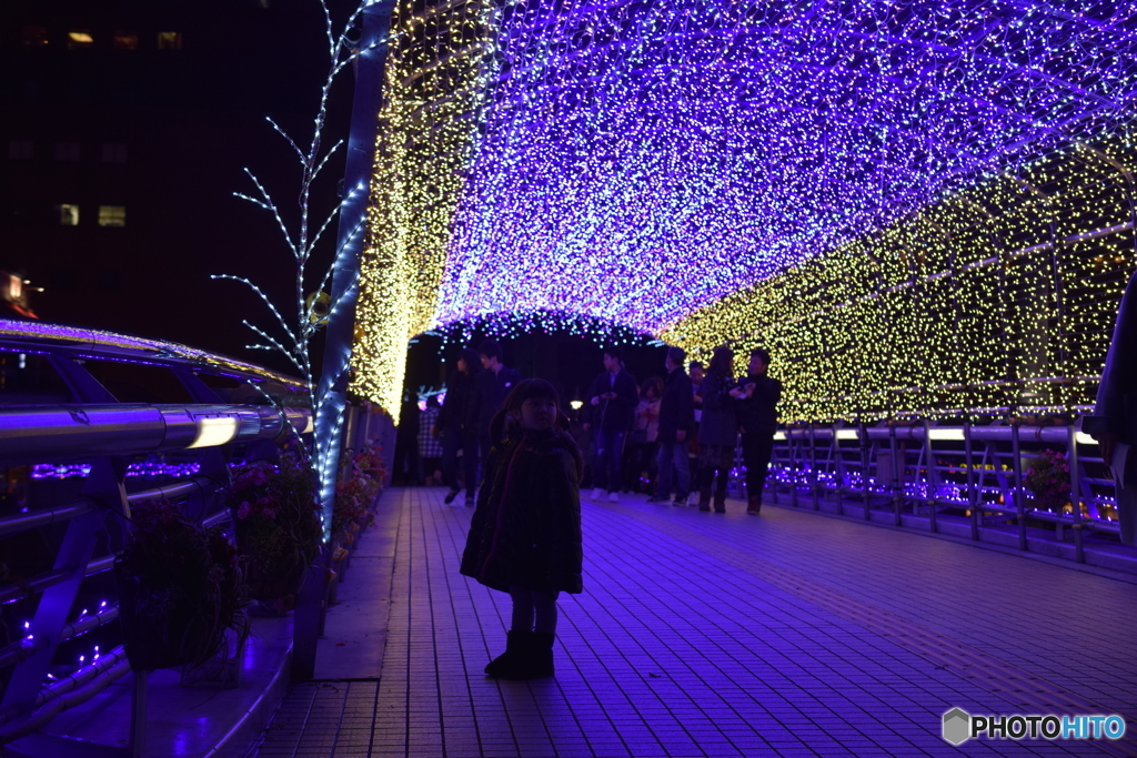 イルミの橋