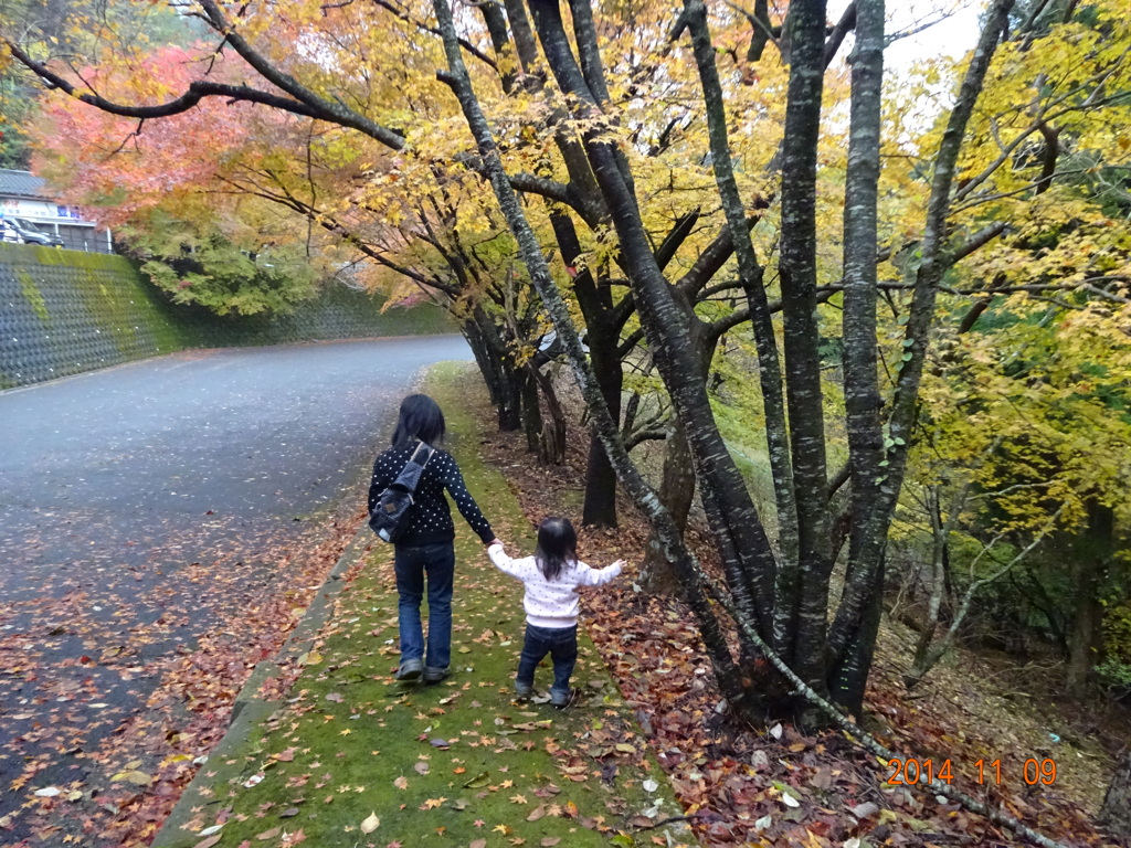 姉妹怪獣の紅葉狩り