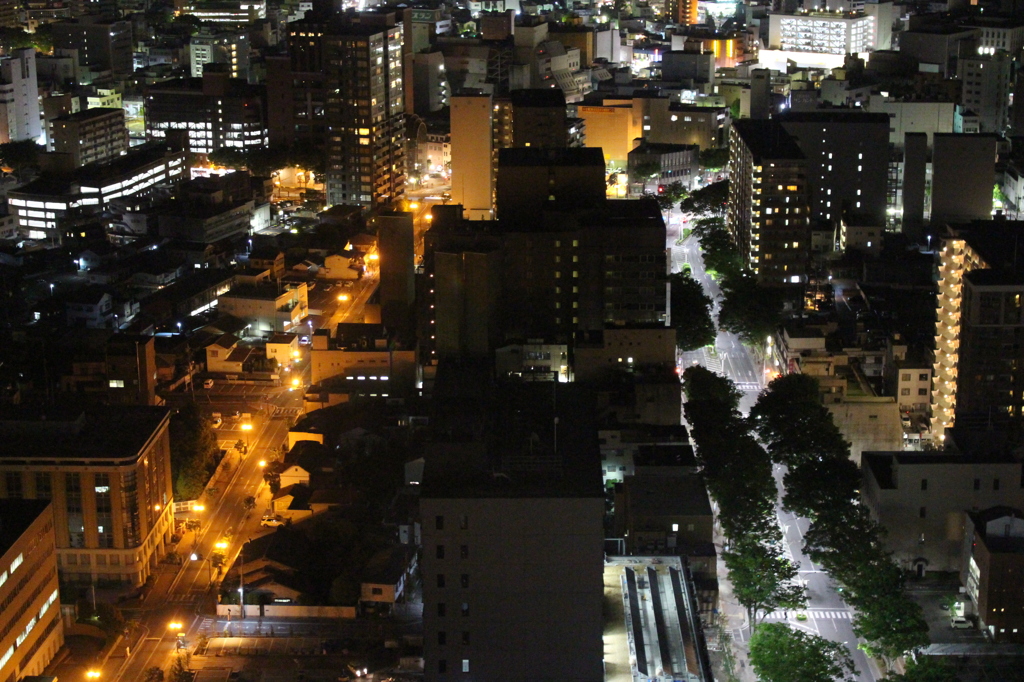 夜のシルエット