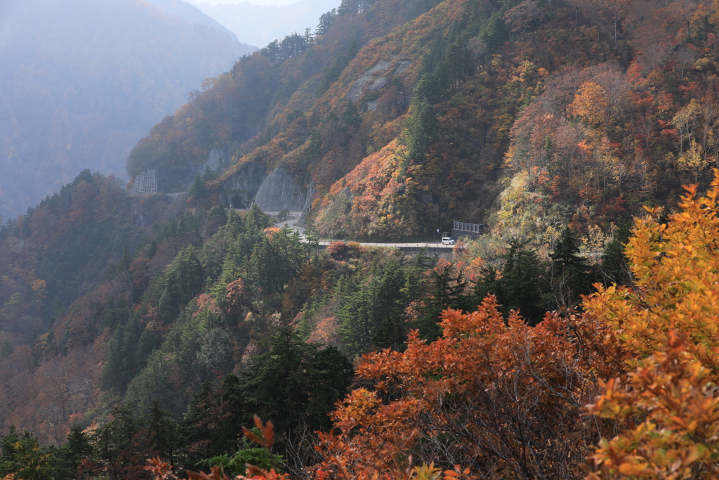 晩秋の白山白川郷ホワイトロード