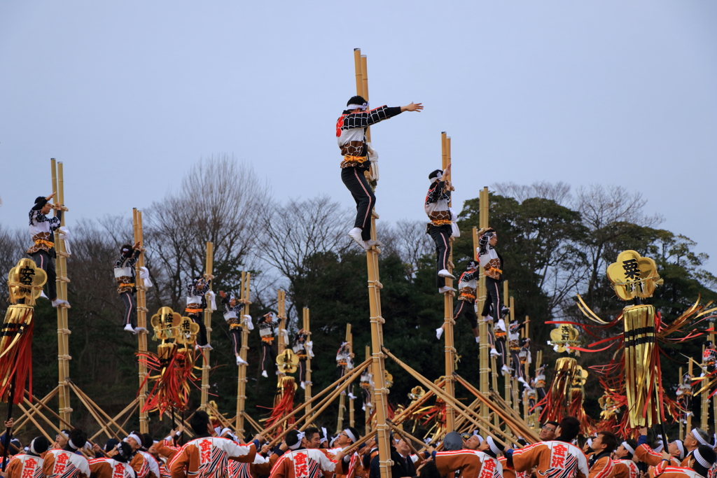 出初式「加賀鳶梯子登り」