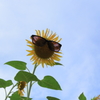 夏の青空が眩しすぎる！！