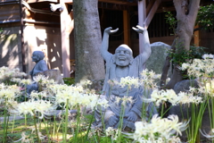 石仏と白い彼岸花