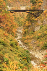 紅葉の浮かぶ鉄橋