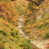 紅葉の浮かぶ鉄橋