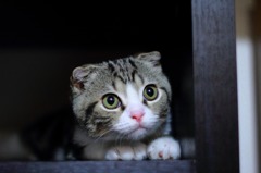 反省中！