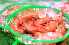 甘海老