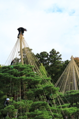 晩秋の兼六園