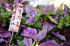 加賀野菜