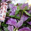 加賀野菜