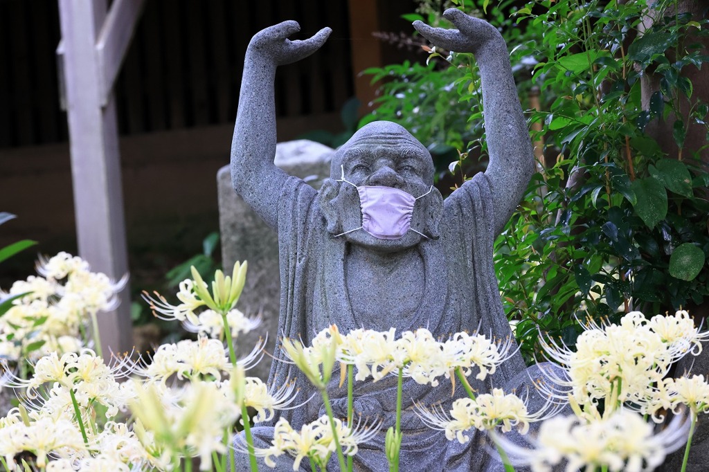 白い曼珠沙華と石仏