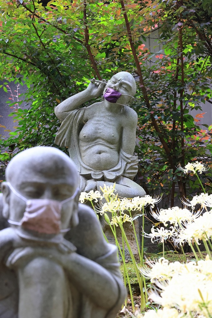 白い曼珠沙華と石仏