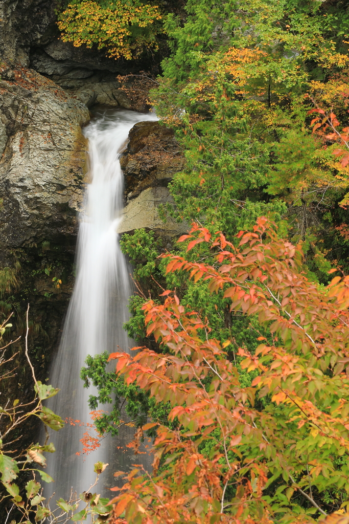 晩秋の白山白川郷ホワイトロード