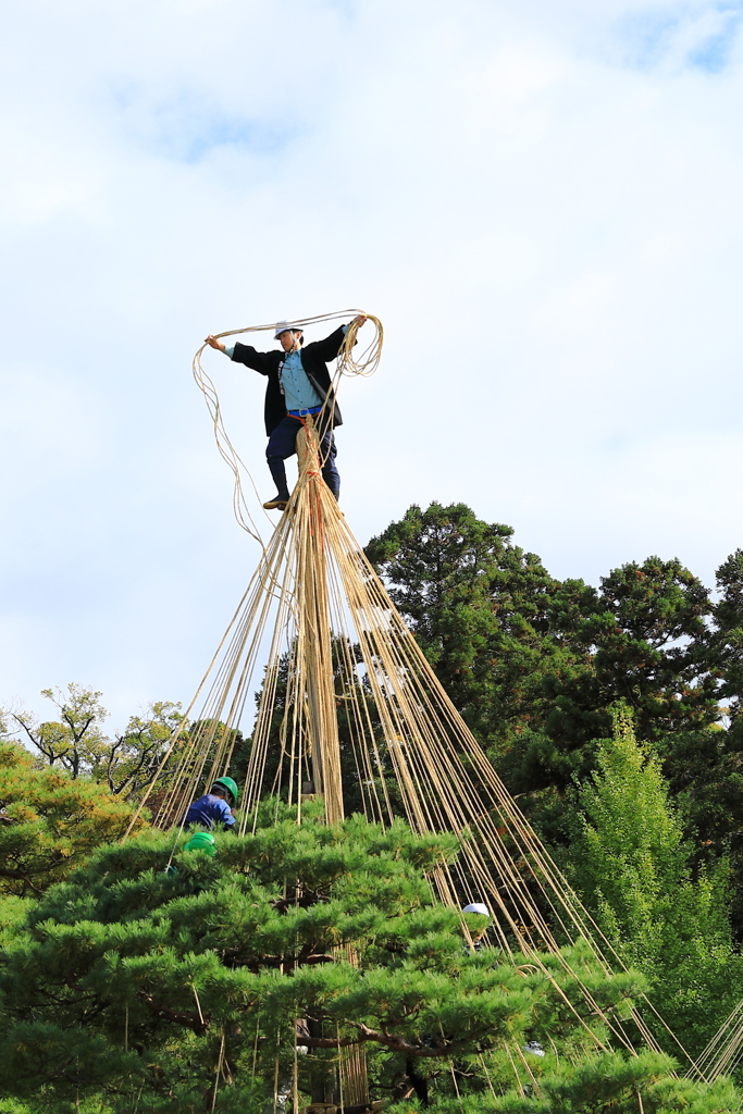 晩秋の兼六園