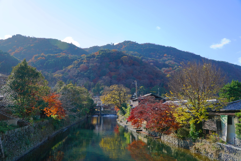 橋の上から紅葉を望む