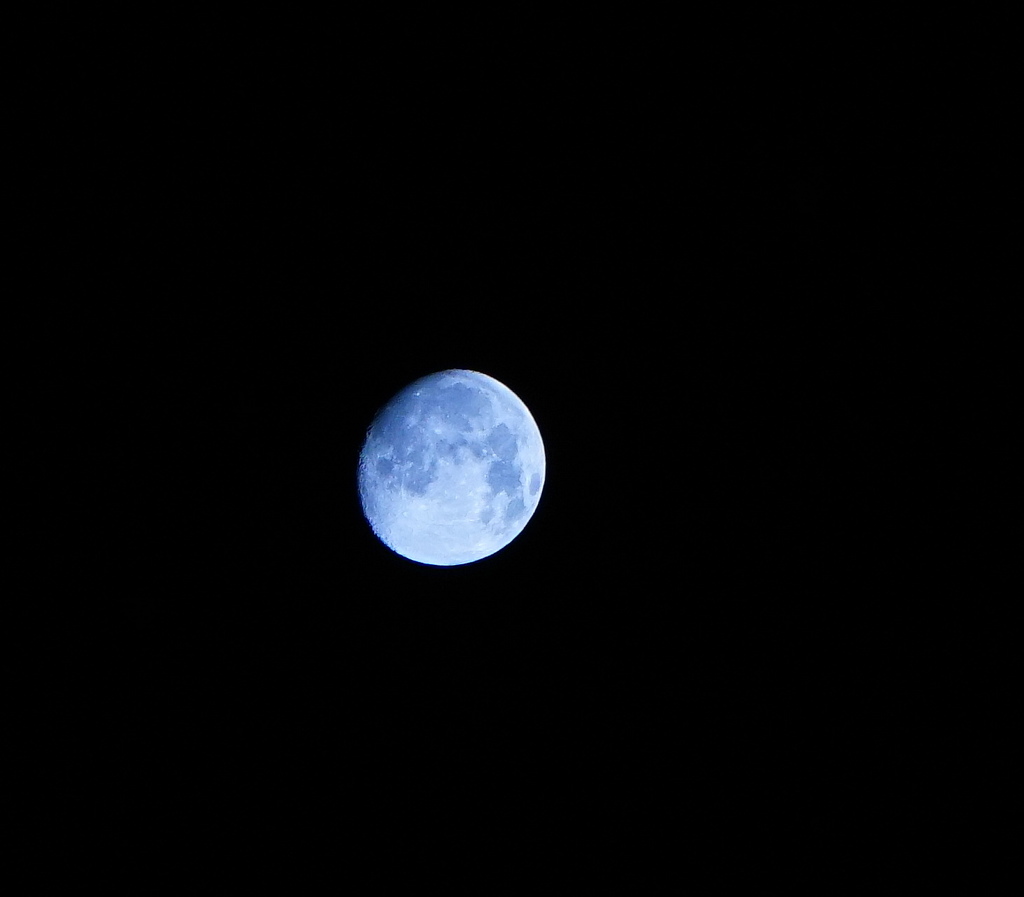 blue moon