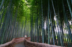 京都らしい道