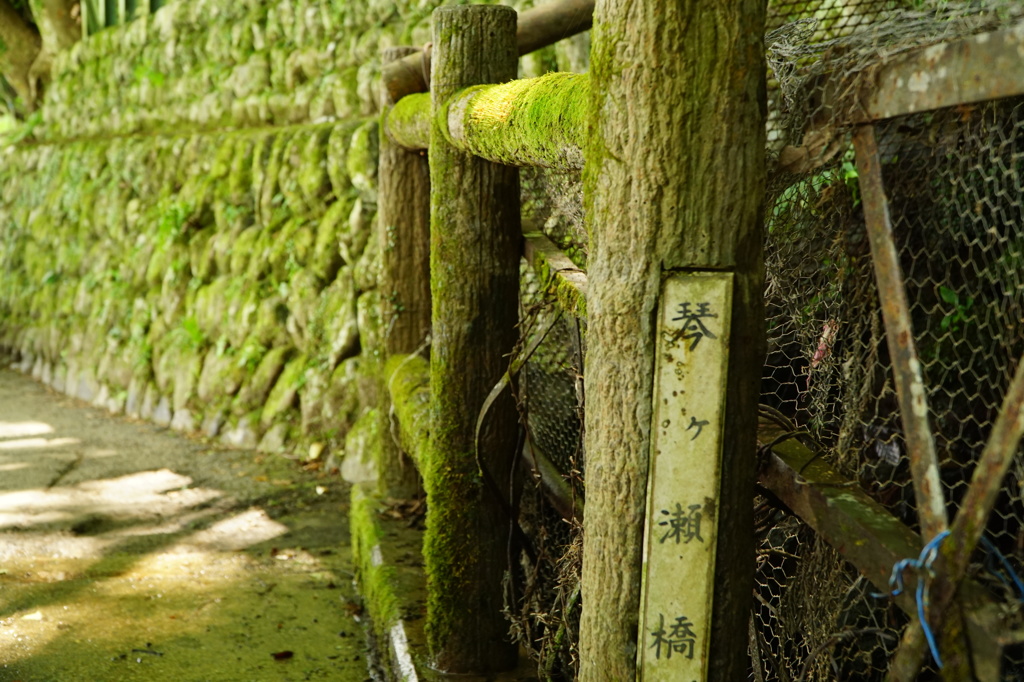 琴ヶ瀬橋