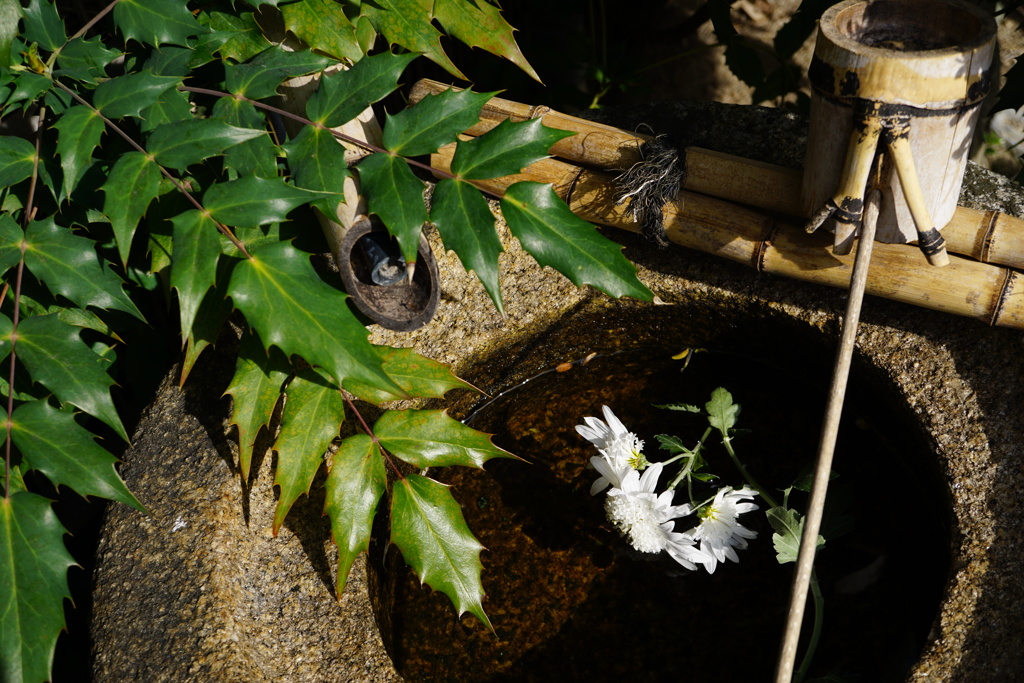 DSC03663