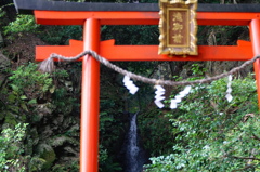 鳥居の先の世界