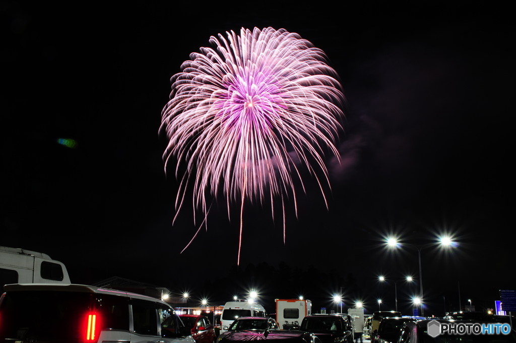 2025-03-29 d300s 134