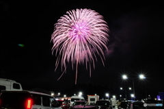 2025-03-29 d300s 134