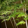 由志園